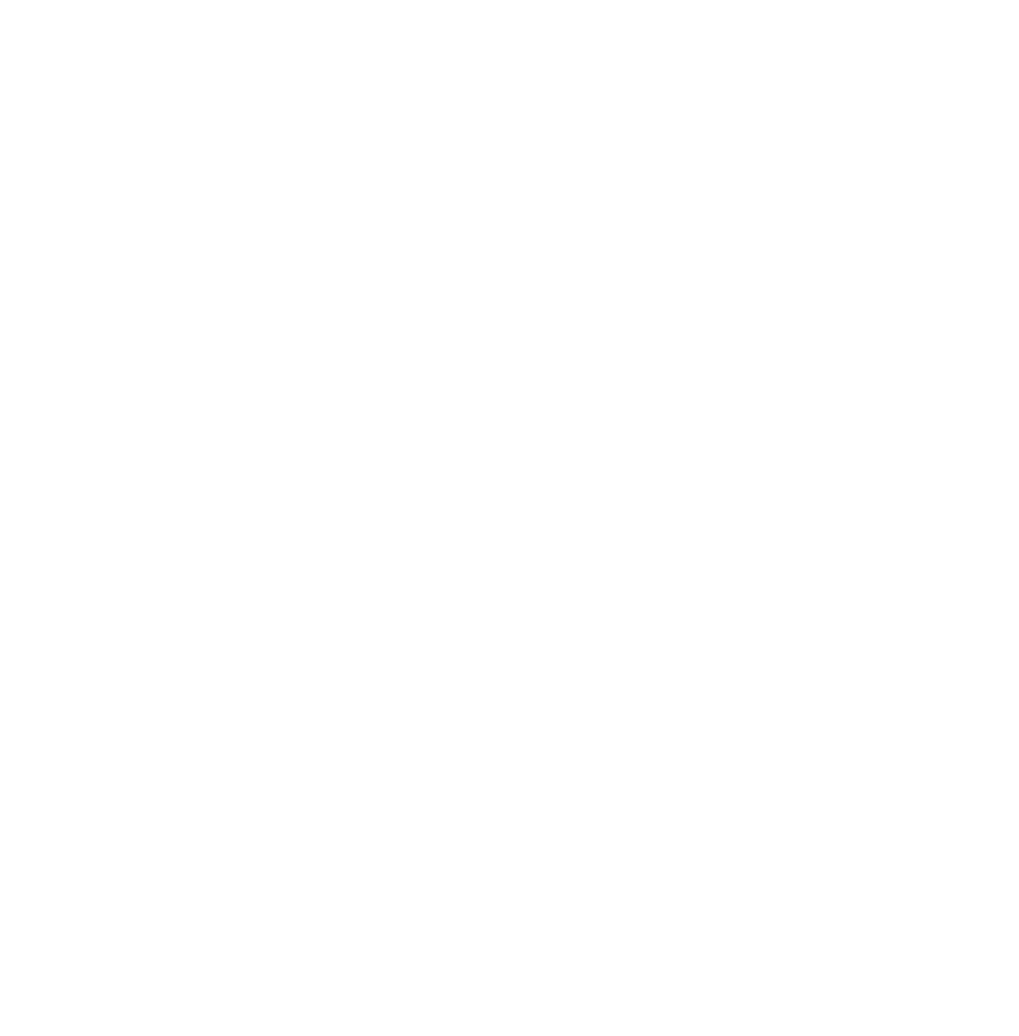 Focus Optical logo